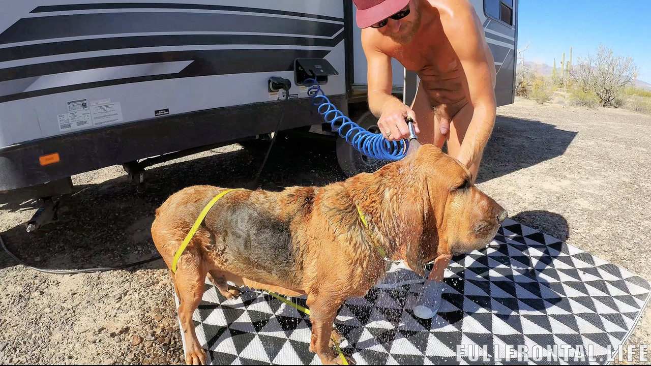 Nude Dog Wash | Great Salt Lake | Cum Eating | Mountain Breeding (ep 9)