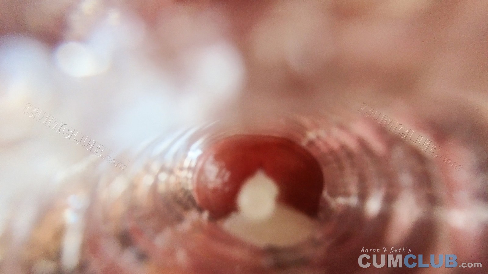 CumClub.com | Semen Tsunami