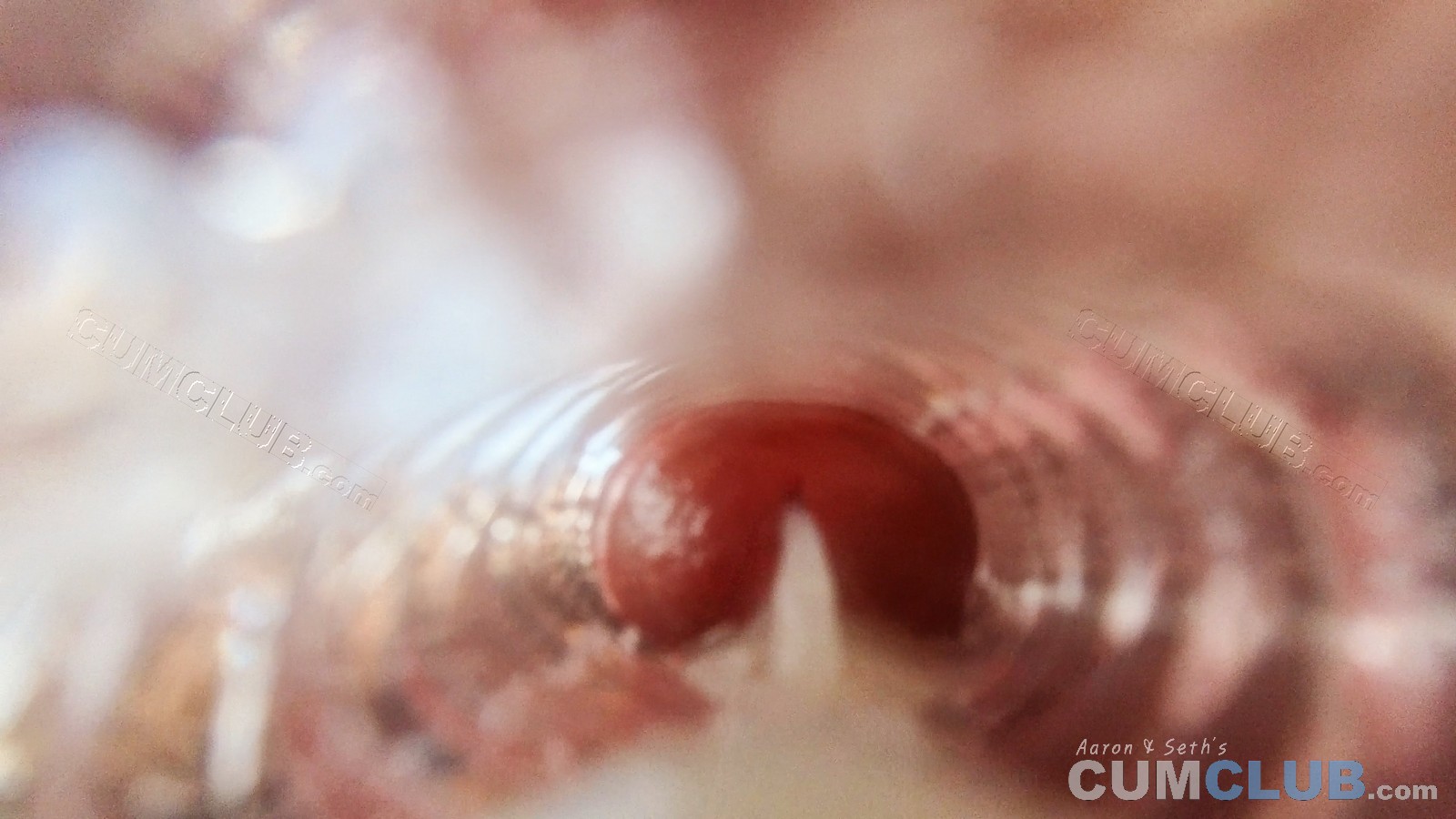CumClub.com | Semen Tsunami